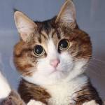 Elis Yojanna Munive Navarro Profile Picture