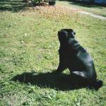 Federico Beim Profile Picture