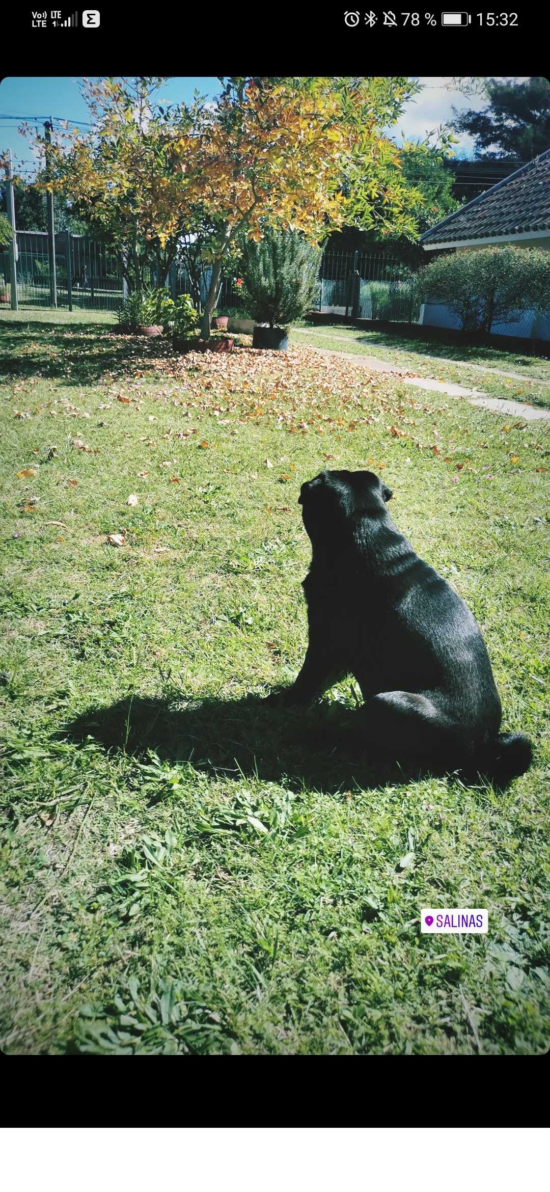 Federico Beim Profile Picture