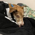 Brunoospi19 Profile Picture