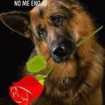 Estela Brum Profile Picture