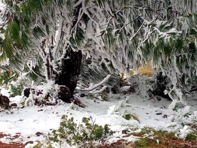 Chuquisaca: Al menos cinco municipios reportan heladas y nevadas