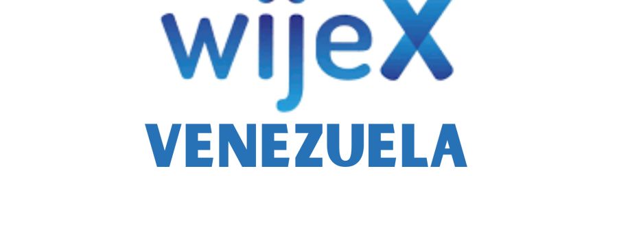 Consultores Wijex Venezuela Cover Image