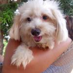 Yannet Zamora Profile Picture